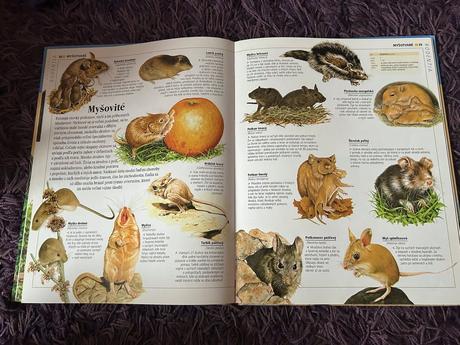 Obrazová encyklopédia zvieratá, 