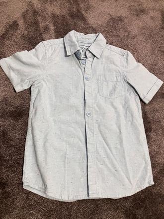 Kosela, palomino,128