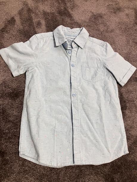 Kosela, palomino,128