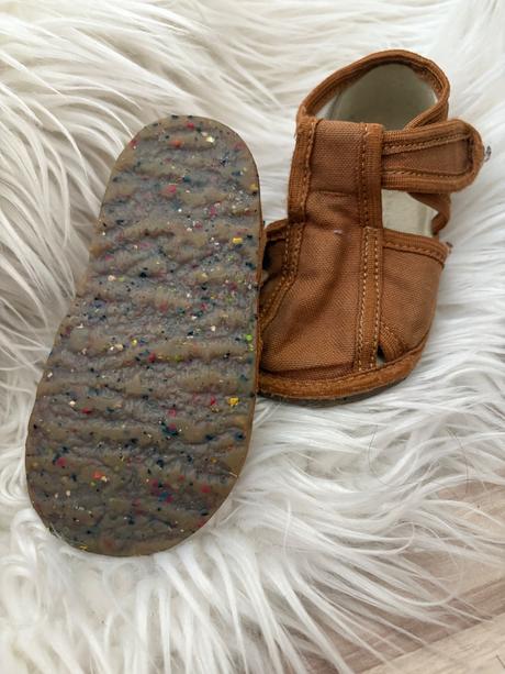 Rak papučky, rak,20