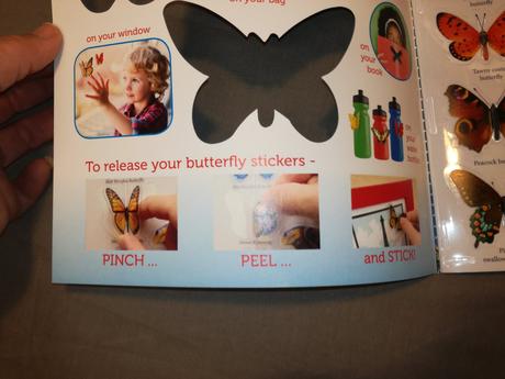 Flying stickers - butterflies and moths nau22, 