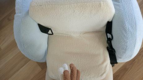 Hojdaci oslik nattou , 