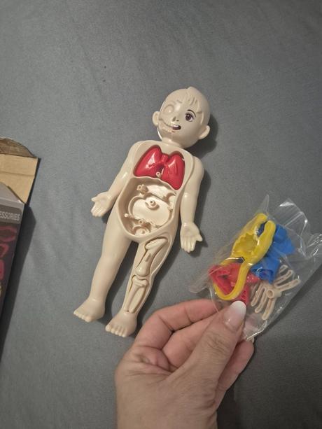 Vkladačka ľudské telo, 