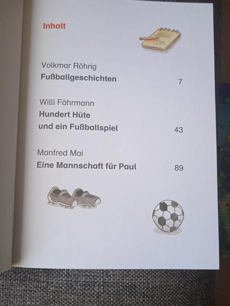 Die besten fußballgeschichten für erstleser,