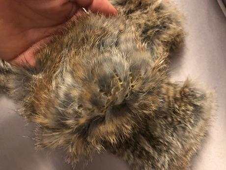 Kožušinove navleky na rukavice, m