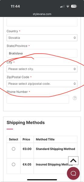 Problémy s objednávkami na Stylevana: Nejde zadať mesto ani PSČ