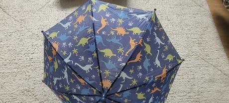 Dáždnik pepco,