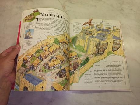 Timelines - houses, habitats & home life, 