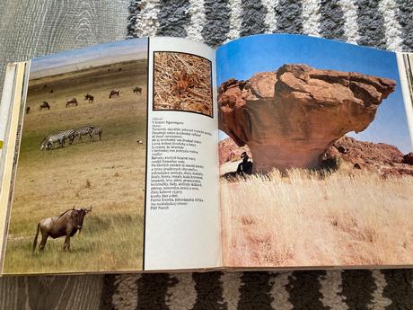 Lev nie je kráľom zvierat-prvé vyd.1981, 