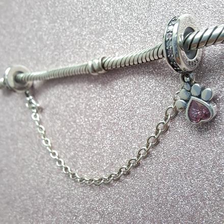 Bezpečnostná retiazka labka, 