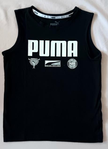 Tielko puma, puma,110
