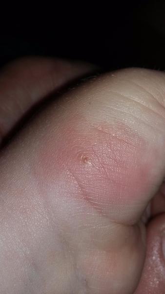 Čo by to mohlo byť?