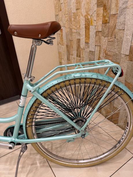 Kellys royal dutch, kellys,28