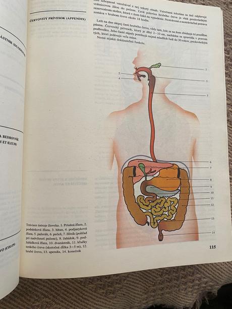 Obrovská stará retro kniha zdravoveda osveta 1980, 