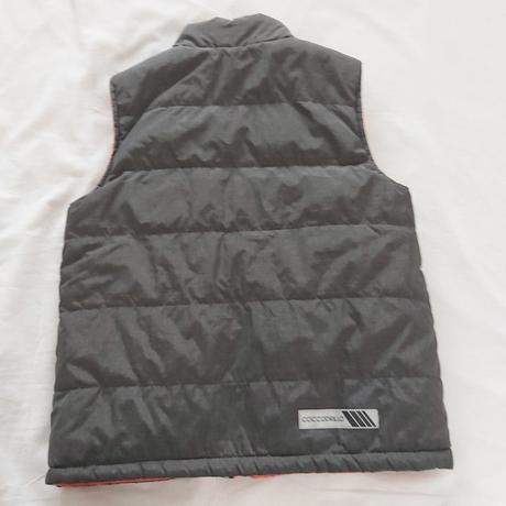 Vesta, coccodrillo,134