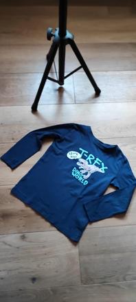 T-rex tričko, fox & bunny,128