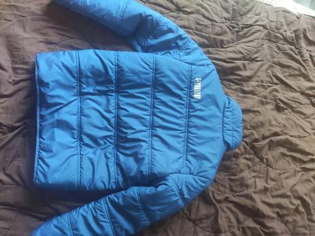 Bunda puma, puma,140