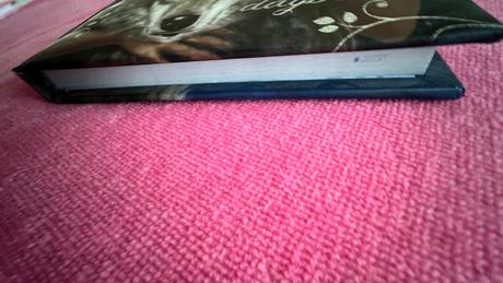 Diár so zámkom a zápisník,