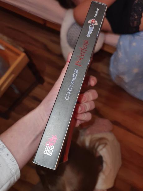 Pocertena ockov anjelik, 