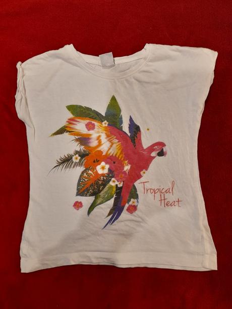Tričko s papagájom, kiki&koko,104