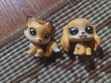 Lps zvieratka,