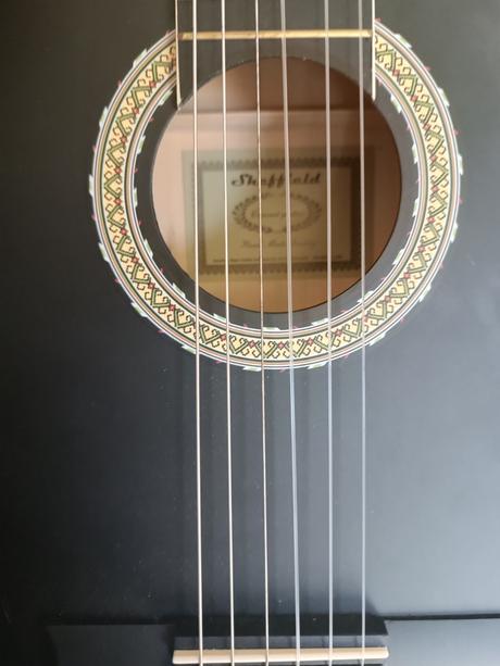 Gitara sheffield (lidl), puzdro, ladička, 