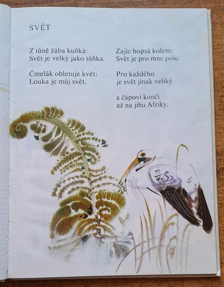 Labutie pierko, 