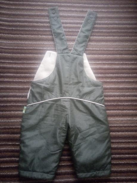 Oteplovačky, frog,74