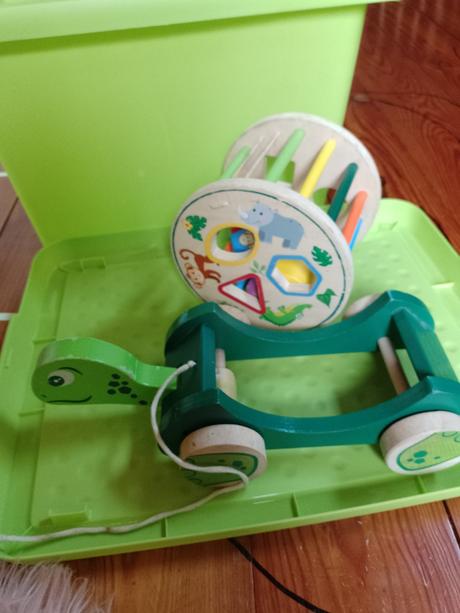 Drevené korytnačka, 