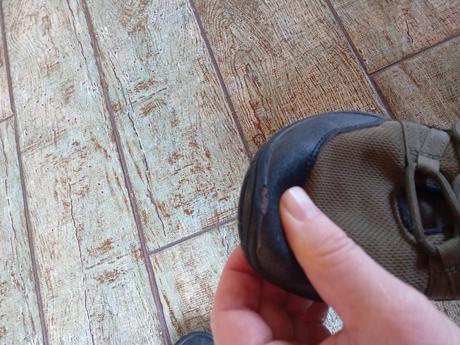 Saguaro forestep xzh0177 green, 37