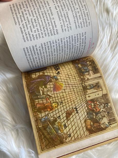 Aká bola dávna škola bibiana wallnerová (1979), 