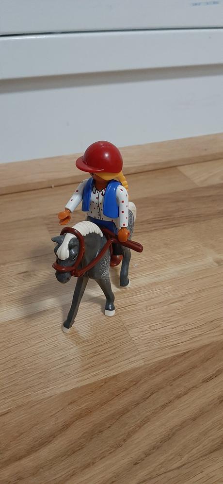 Playmobile country/box s konom, 
