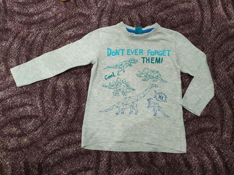 Tričko s dinosaurami, 110