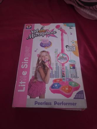 Mikrofón so stojanom,