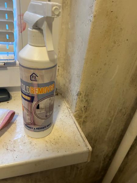 Problémy s plesňou v dome