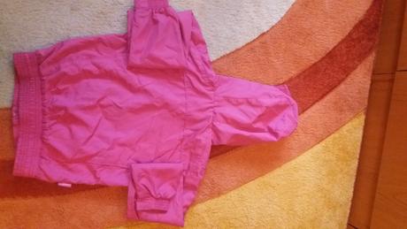 Tensia bundicka , l.a. gear,128