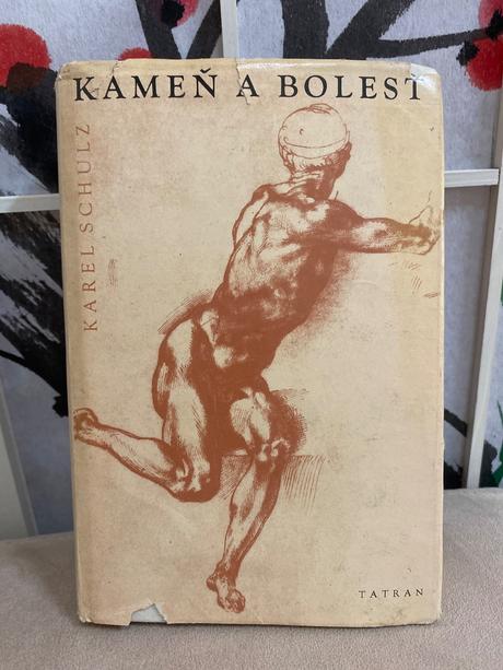 Kniha- kameň a bolesť, 