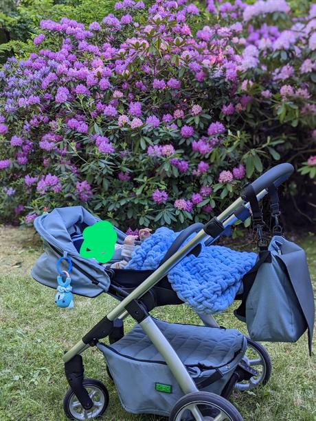 Kočík, moon,moon no. one