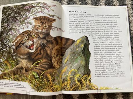 Zvieratá európy-prvé vyd.1997, 