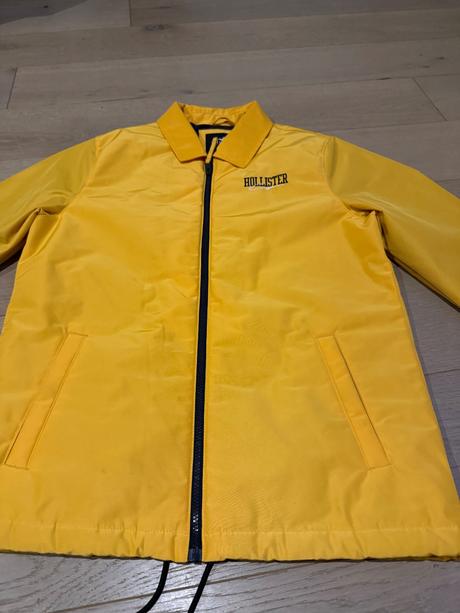 Bunda hollister, hollister,l