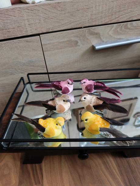 Vtáčiky na štipci, 