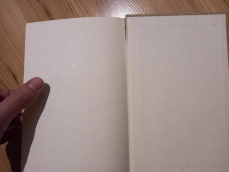 Láska a tieň isabel allendeová, 