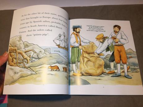 I love guinea-pigs nau22, 