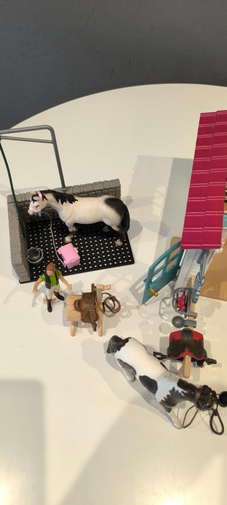 Kaviareň pre kone, plus stajňa, 