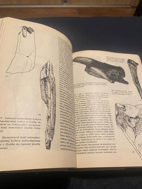 Encyklopédiaveľký obrazový atlas pravekého človeka, 