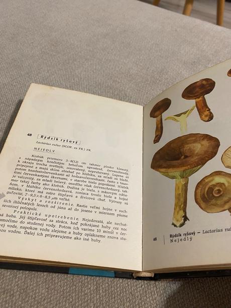 Vreckový atlas húb pilát ušák,