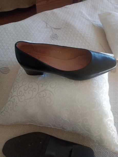 Lodičky, salamander,38