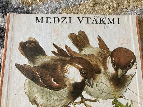 Medzi vtákmi leporelo (1987), 