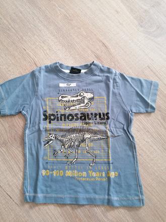 Tričko s dinosaurom, next,98