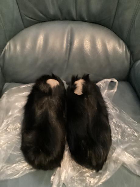 Vsuvky/apres ski, 37